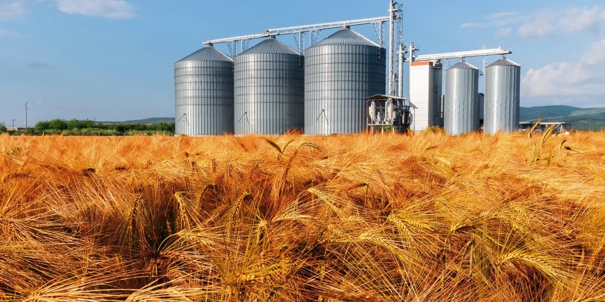 Grain Towers_1228x614